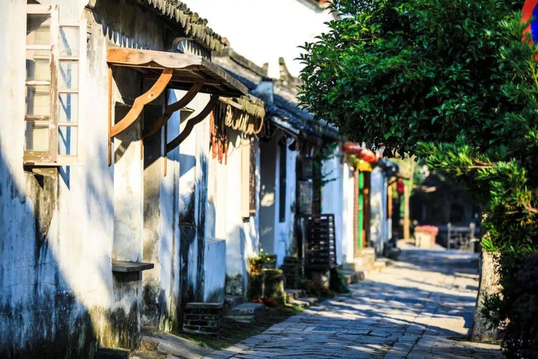 逃离荒凉之地